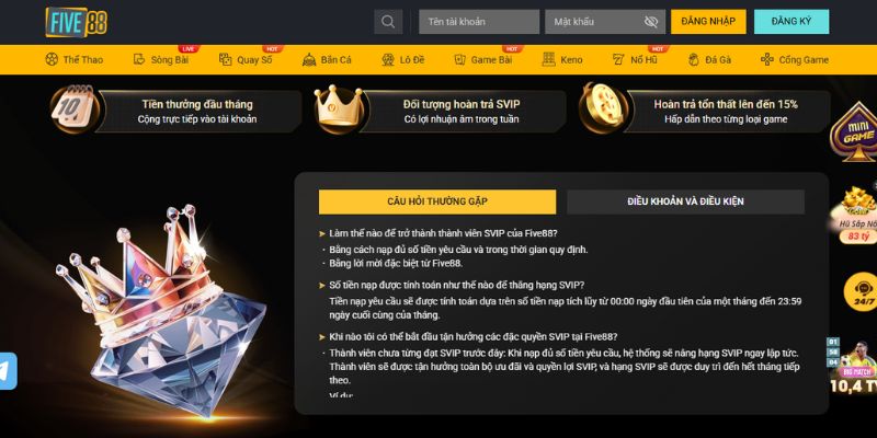 Khuyến Mãi VIP - Đặc Quyền Chỉ Dành Cho Hội Viên Cao Cấp 3 Điều kiện chuẩn khi áp dụng chương trình khuyến mãi VIP